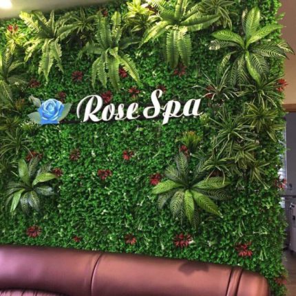 Biển tường cỏ Rose Spa có giá trị thẩm mỹ cao, không bị héo úa theo thời gian, không đòi hỏi công chăm sóc. Đặc biệt có tác dụng chuyển đổi những không gian khô cứng, đơn điệu thành những không gian xanh tươi, hài hòa với thiên nhiên.